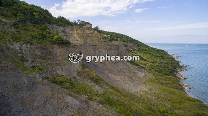 Falaise des Vaches Noires (Normandie, Calvados) - gryphea.org